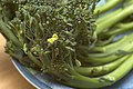 Profile Picture of Broccolini - Wikipediaon Wikipedia