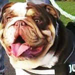 Profile Picture of karl field (@kdjf77) on Instagram