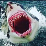 Profile Picture of Jeremy Hatcher (@jhatch3477) on Instagram