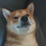 Profile Picture of Aaron kwak (@nuest._aron) on Instagram