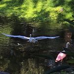 Profile Picture of Ben Gustafson (@ben.gustafson.902) on Instagram