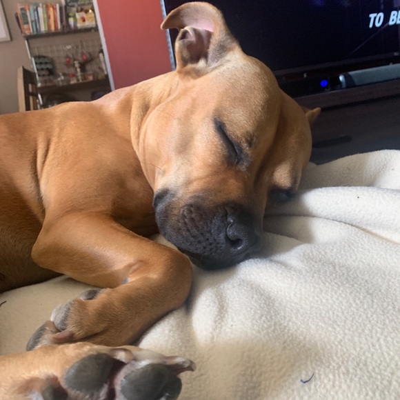 Profile Picture of Brett Genette (@brettgnet) on Poshmark