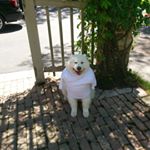 Profile Picture of peter epperson (@peter.epperson) on Instagram