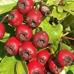 Profile Picture of Astrid Stadler (@stadle_a) on Instagram