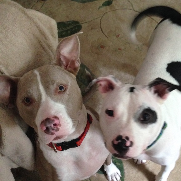 Lynda Gamblin - Poshmark Profile Picture of Lynda Gamblin (@gamblinl) on Poshmark