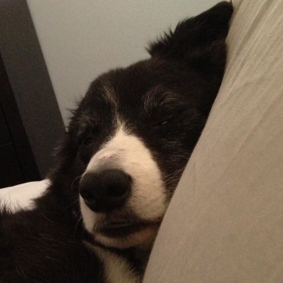 Profile Picture of Christy Berardelli (@christyn1985) on Poshmark