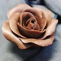 Profile Picture of Alexia Grant (@alexia-grant) on Quora