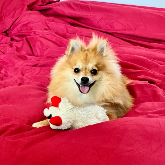 Profile Picture of Matthew Fain (@matthewrfain) on Poshmark