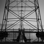 Profile Picture of Michael Goldsby (@dr.goldfish) on Instagram