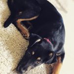 Profile Picture of Chloe _bailey (@chloe_bailey_1205) on Instagram