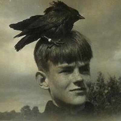 Profile Picture of Michael Beck (@@pokechop_la) on Twitter