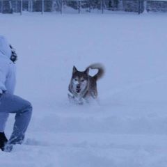 Profile Picture of danielcolart (@danielcolart) on Tiktok