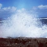 Profile Picture of Bernie Kaiama (@bernie_808.maui) on Instagram