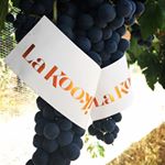 Profile Picture of Glenn Goodall and Ely Jarvis (@lakookiwines) on Instagram