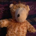 Tammy Rosenberger - Instagram Profile Picture of Tammy Rosenberger (@tammy.rosenberger.1) on Instagram