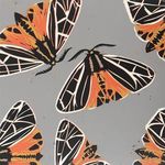 Kim Weiss - Instagram Profile Picture of Kim Weiss (@kimweiss.studio) on Instagram