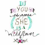 Profile Picture of Cali (@calineal) on Instagram