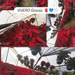 Profile Picture of Selene Elizabeth García Cortés (@Selene-Elizabeth-García-Cortés) on Facebook