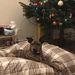 Profile Picture of Abbey Bailey (@abailey0281) on Pinterest