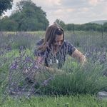 Profile Picture of Donna Wilcox Maccarone (@donnamacrn) on Instagram