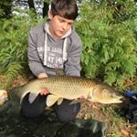 Profile Picture of Robin Finn (@finn_carp) on Instagram