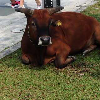 Profile Picture of andrewhoneyman (@andrewhoneyman) on Instagram