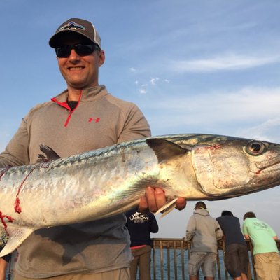 Profile Picture of Ben Buss (@bfbuss) on Twitter