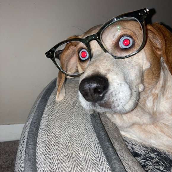 Profile Picture of Ivan Pizarro (@ipizarro19) on Poshmark