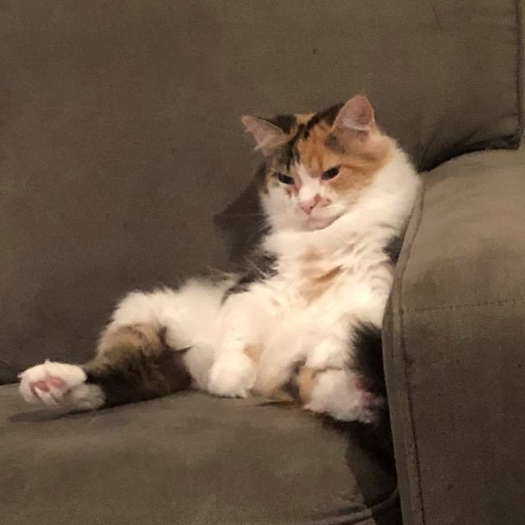 Profile Picture of Richard Gray (@alistairvimes) on Poshmark