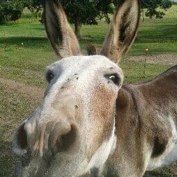 Profile Picture of John Weiskircher (@jjweiskircher) on Twitter