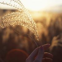 Thị Đặng - Quora Profile Picture of Thị Đặng (@thị-Đặng) on Quora