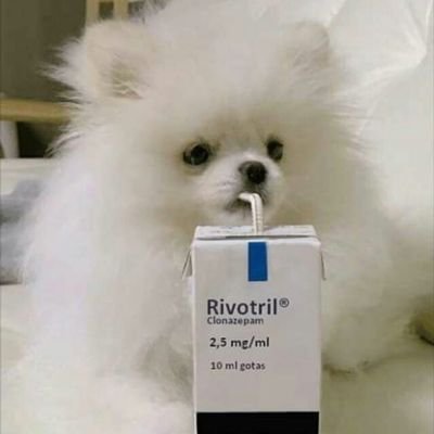 Profile Picture of A.A (@andrew_avelino) on Twitter