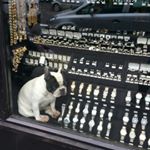 Profile Picture of Mark Streeter (@markedward2000) on Instagram