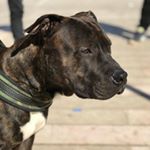 Profile Picture of fernando greco (@fernando.ks36) on Instagram