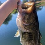 Profile Picture of Kyle Comeaux (@comeaux.kyle) on Instagram