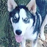 Profile Picture of Gary Aviles (@gary.aviles.395) on Instagram