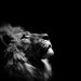 Profile Picture of Michael Alicea (@aliceamichael52) on Pinterest