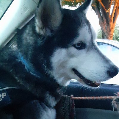 Profile Picture of John Rawley (@JohnRawley6) on Twitter