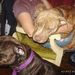 Profile Picture of Tracy Keener (@tracykeener5) on Pinterest