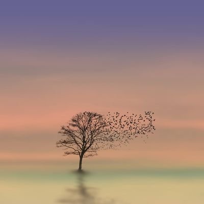 Profile Picture of Simon Xu (@simonxu95979472) on Twitter