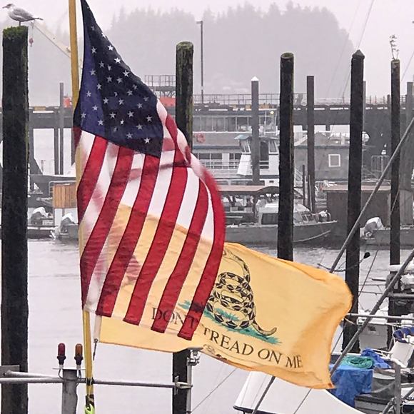 Profile Picture of Robin Cayton (@yardsale14) on Poshmark