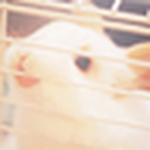 Profile Picture of Zahra.mohammed (@zahra.mohammed) on Flickr