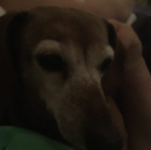 Profile Picture of Mark Millen (@badmojo) on Poshmark