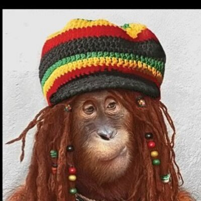 Profile Picture of Noel Nugent (@noeldirect) on Twitter