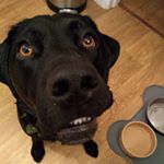 Profile Picture of Steven Byrne (@steven8368) on Instagram