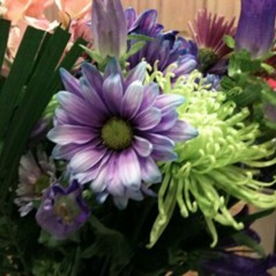 Profile Picture of Gerry Wall (@wal_do) on Twitter