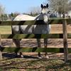 Profile Picture of Trinity Patterson (@@trinityhankdeltaandrodeo) on Tiktok