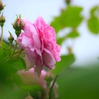 Profile Picture of Lisa Brockett (@lisa-brockett-3) on Quora