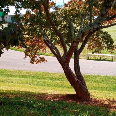 Profile Picture of Hailey Triplett (@Hailey41411949) on Twitter