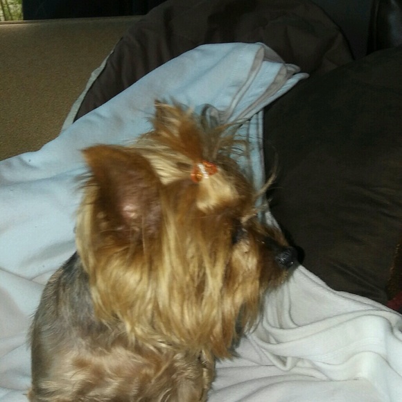 Profile Picture of Janie Stuit (@poshposh_) on Poshmark